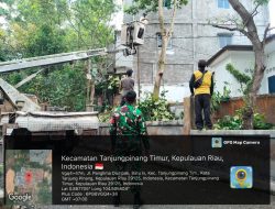 Babinsa Sungai Jang Koramil 01/Kota Bersama Dinas Perkim Tanjungpinang Tebang Pohon Rawan Tumbang